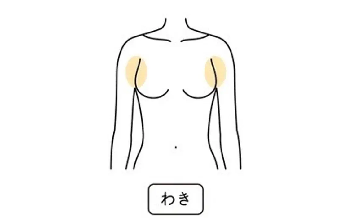 【メンズ・女性】【最新LED脱毛】両ワキ脱毛の写真