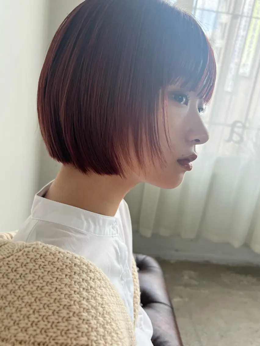 カットモデルの写真