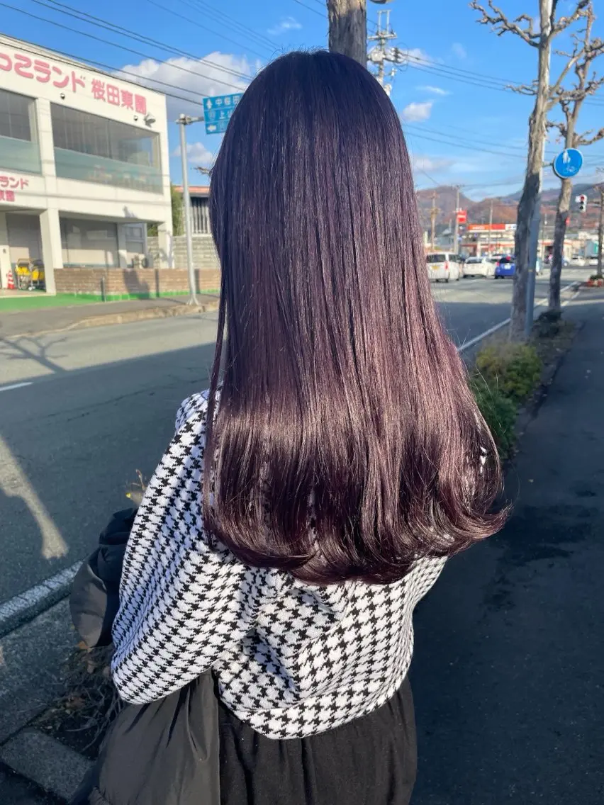 透明感ワンカラーの写真