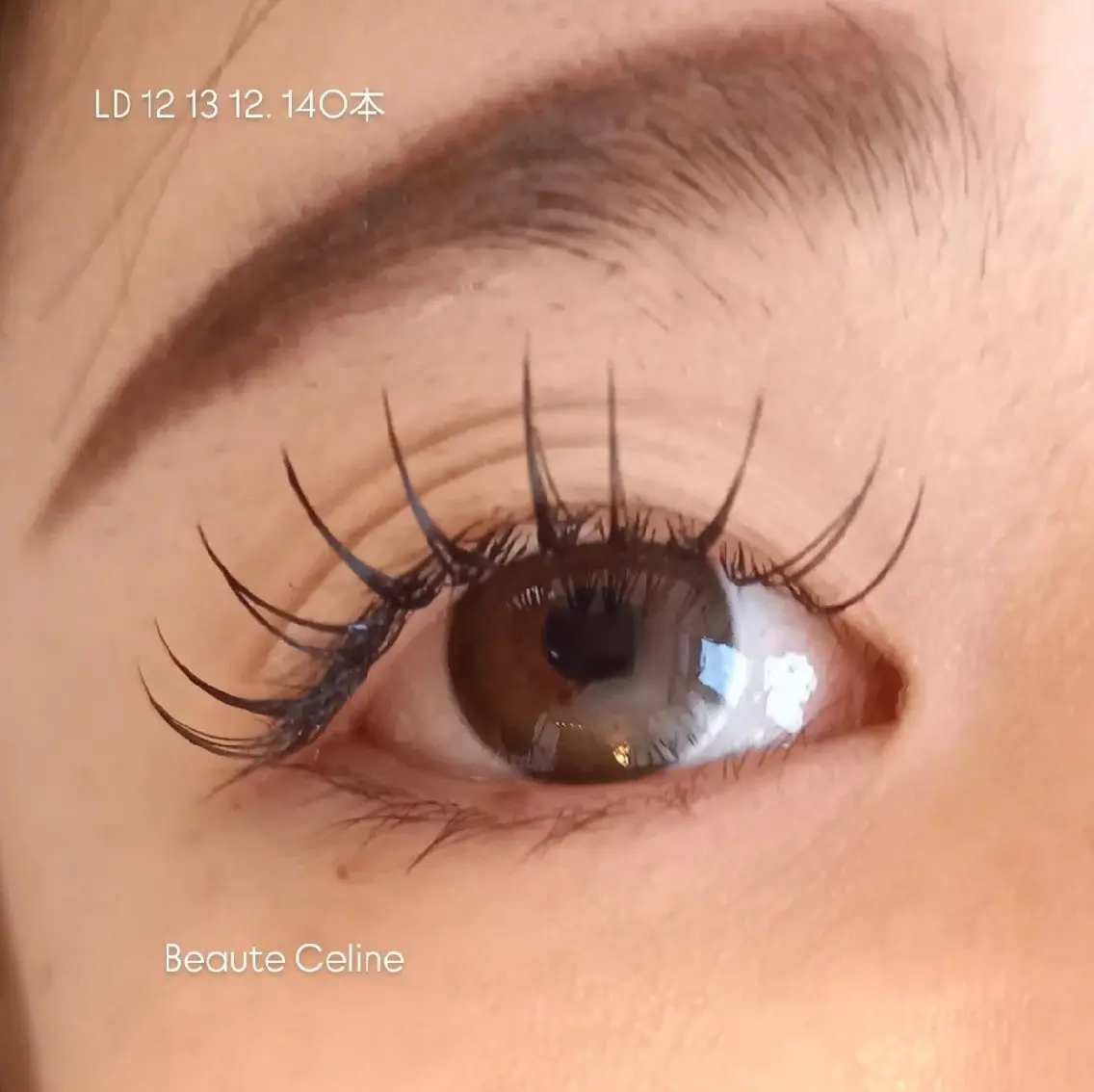 マツエク・マツパ Dカール マツエク LED✨beaute Celine🌛🌹のマツエク・マツパデザイン