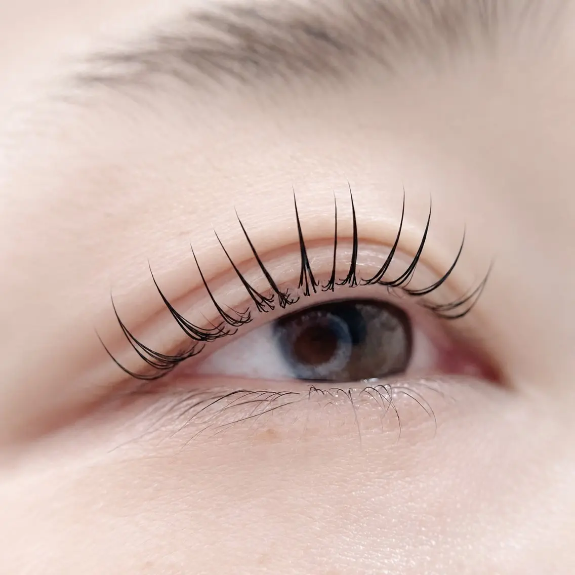 まつ毛ティント🪩まつ毛パーマの写真