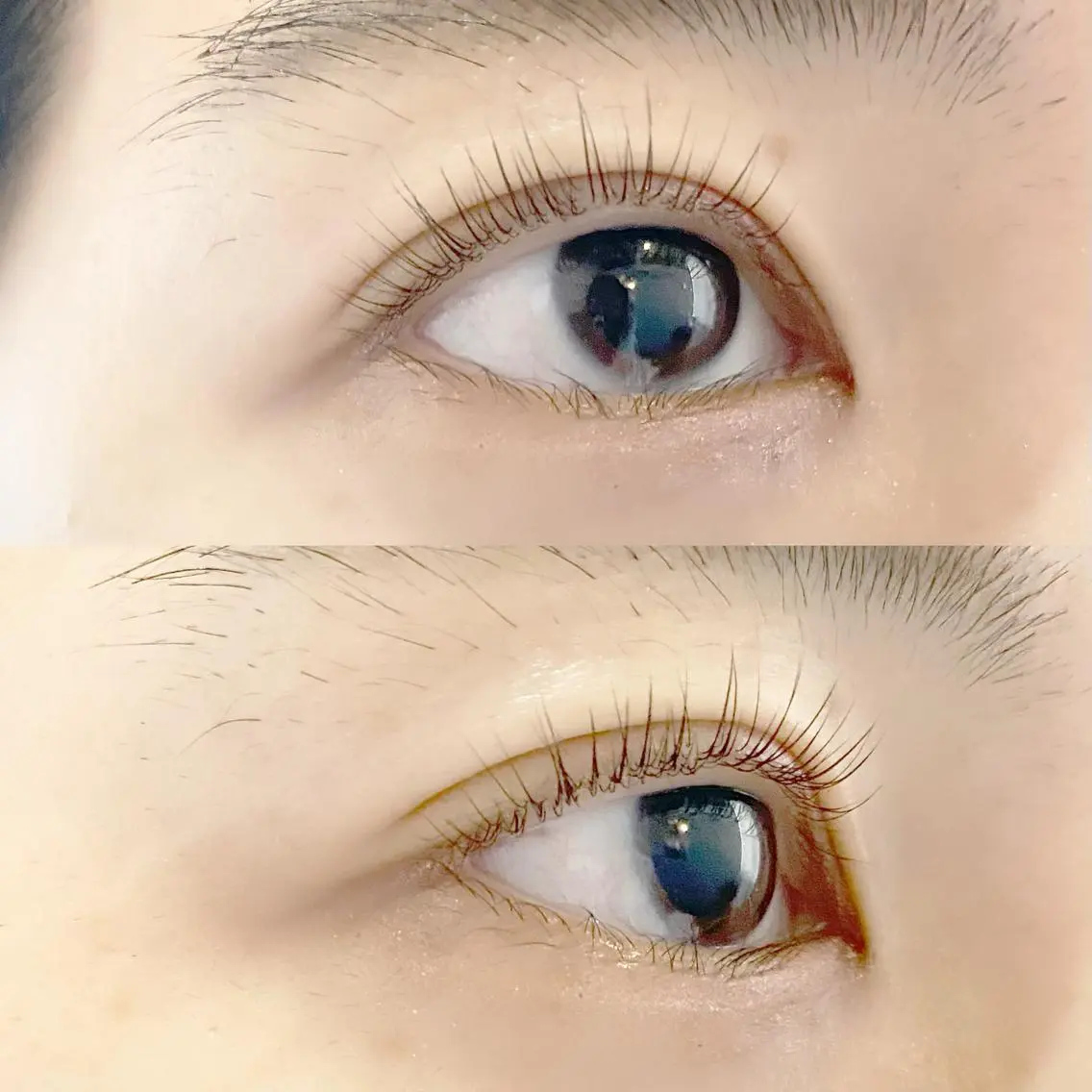 マツエク・マツパ 一重×まつ毛パーマ eyelash "Koa"🕊🤎のマツエク・マツパデザイン