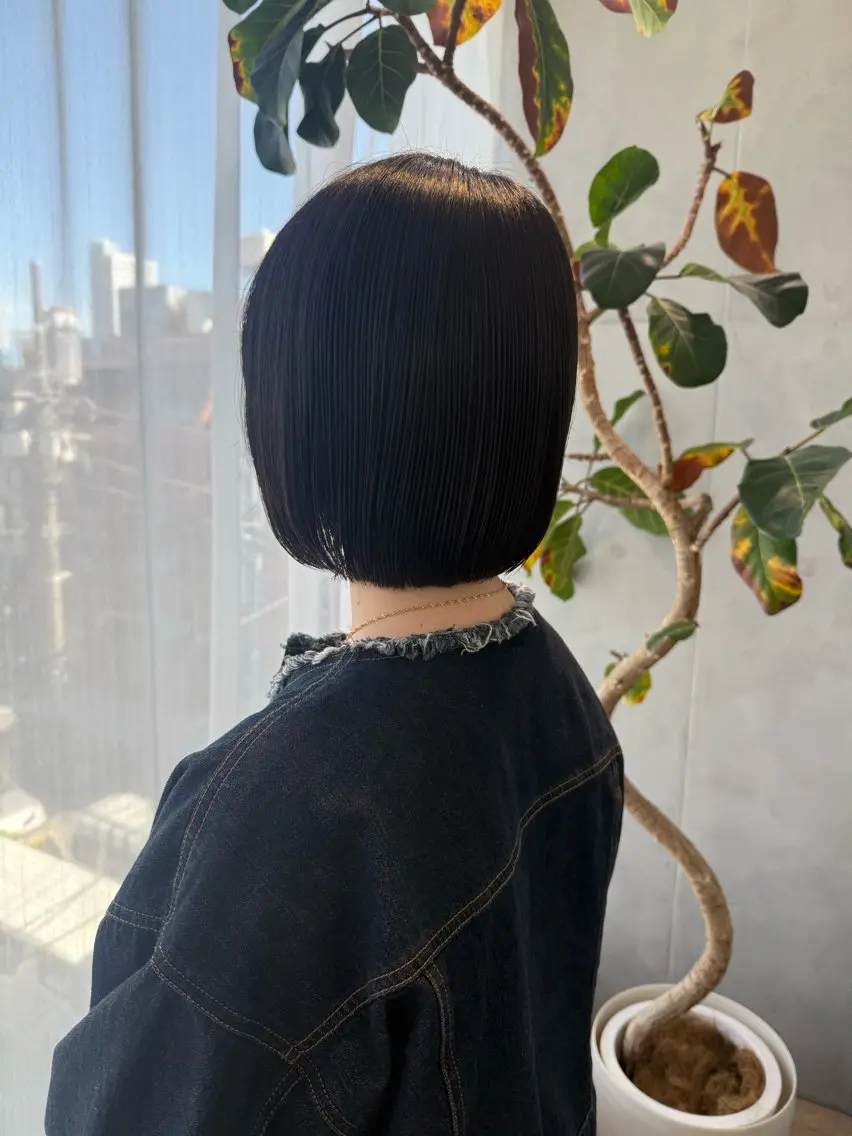 平日限定🐘ボブカットの写真