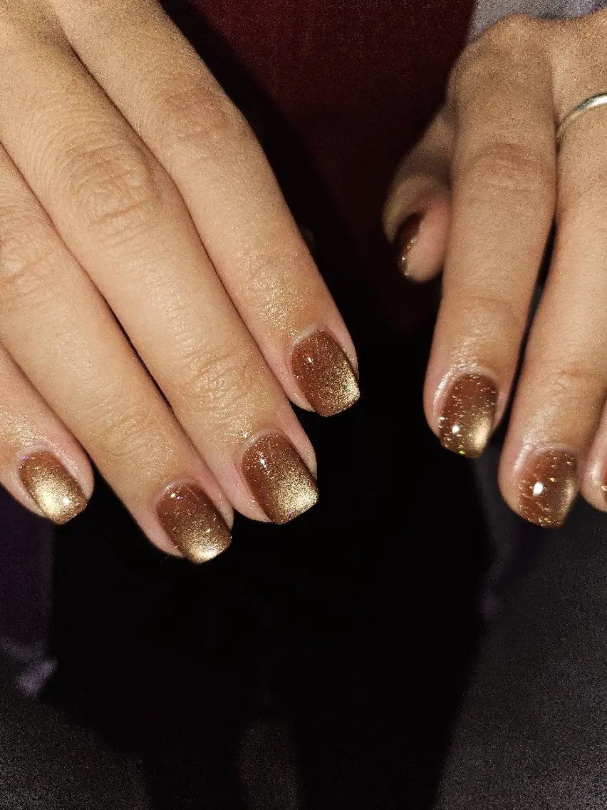ネイル ブラウン ジェルネイル マグネットネイル パラジェル 冬ネイル ハンドネイル puku nail 🌼kazu🌼のネイルデザイン