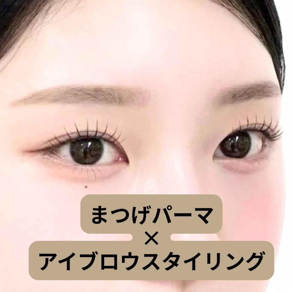 マツエク・マツパ Cher《シェール》 しおりのマツエク・マツパデザイン
