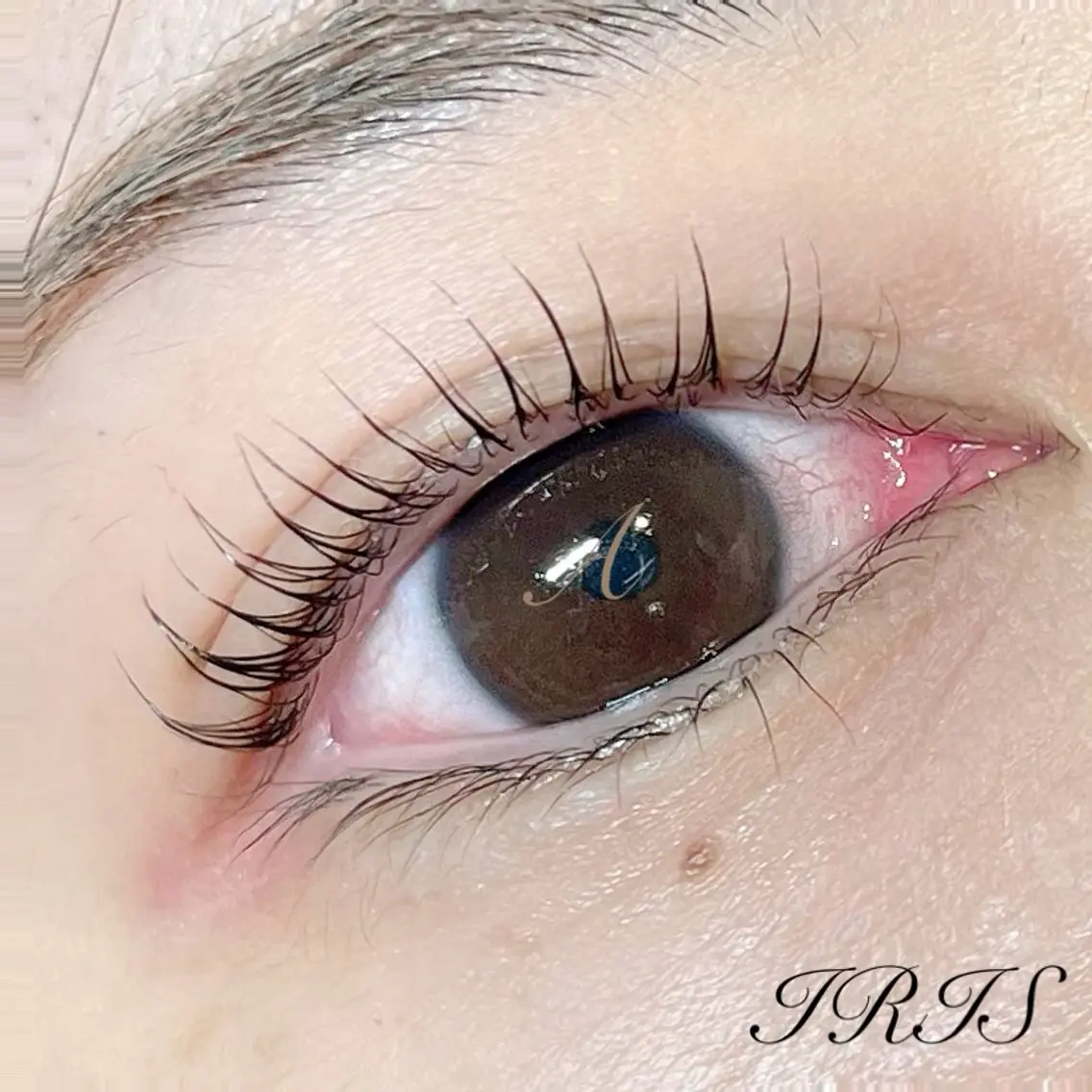 マツエク・マツパ 一重×まつ毛パーマ マツパ IRIS🫧 Ayaのマツエク・マツパデザイン
