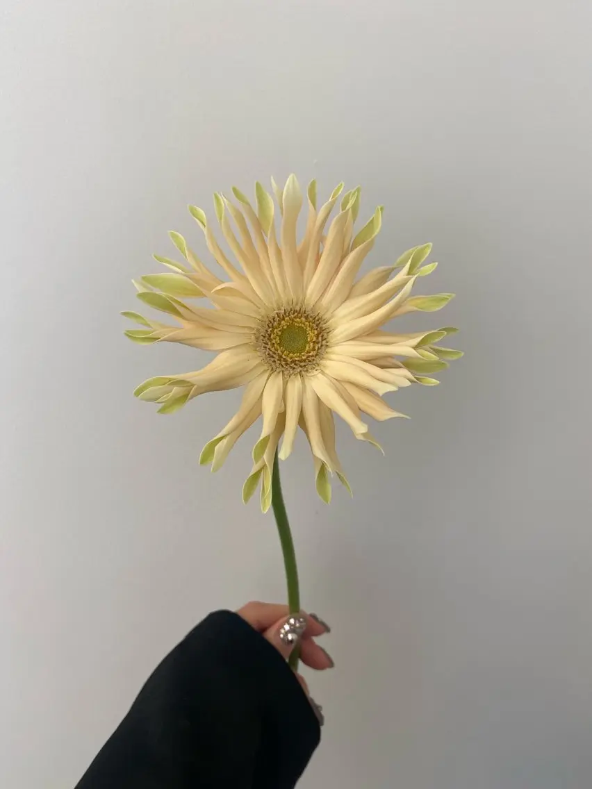 カット ヘアカラー トリートメント 🌻花屋併設🌻濱 幸帆のヘアスタイル