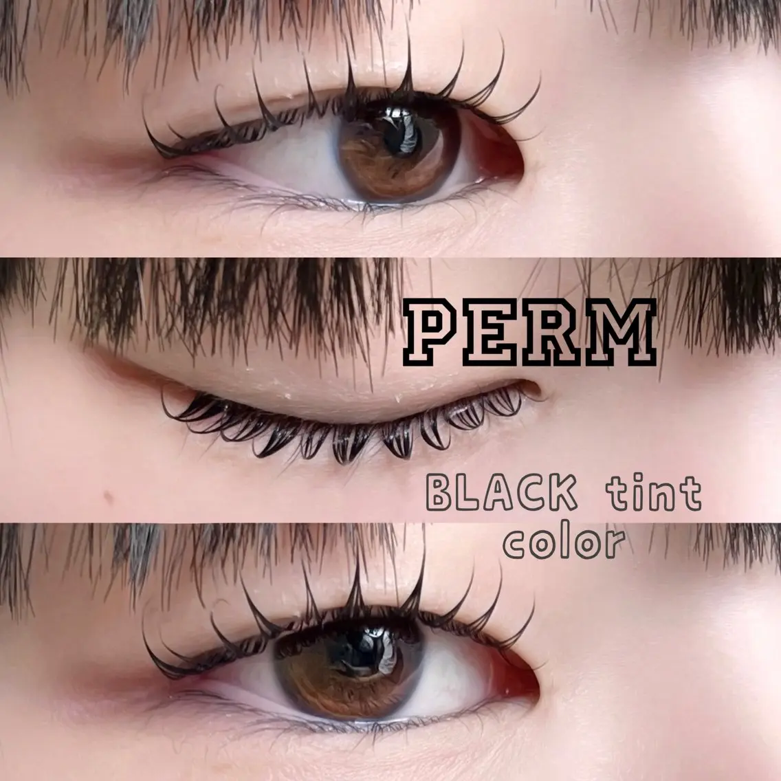 マツエク・マツパ LASH muse .のマツエク・マツパデザイン
