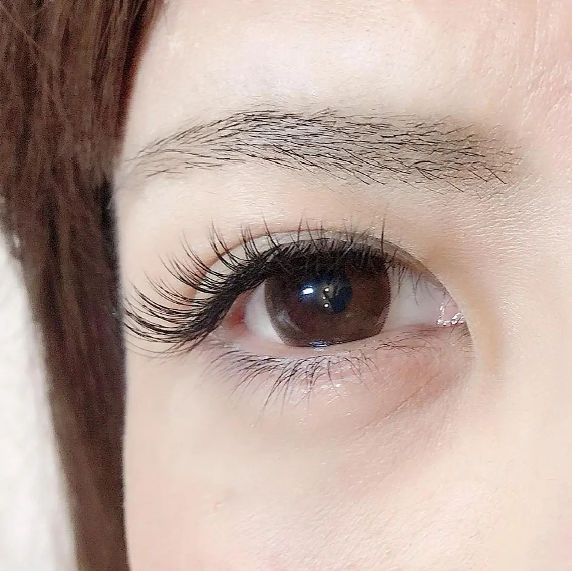 大好評⭐️次世代フラットセーブル  両目100本の写真