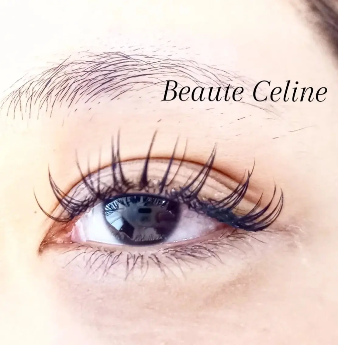 マツエク・マツパ Dカール フラットラッシュ マツエク LED✨beaute Celine🌛🌹のマツエク・マツパデザイン