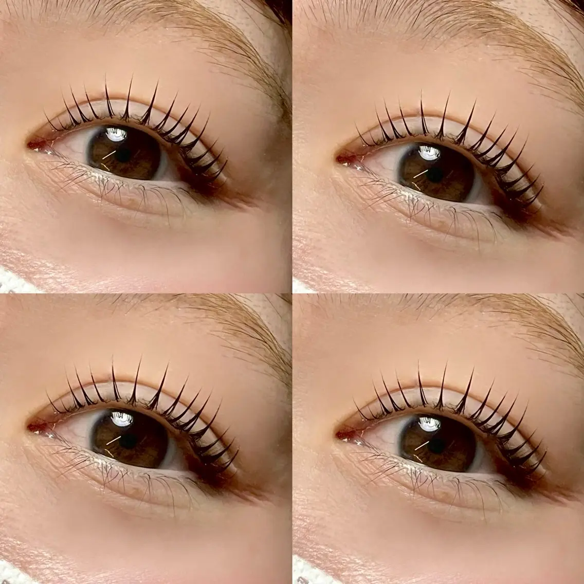 マツエク・マツパ 🎀fein. eye&nail🎀のマツエク・マツパデザイン