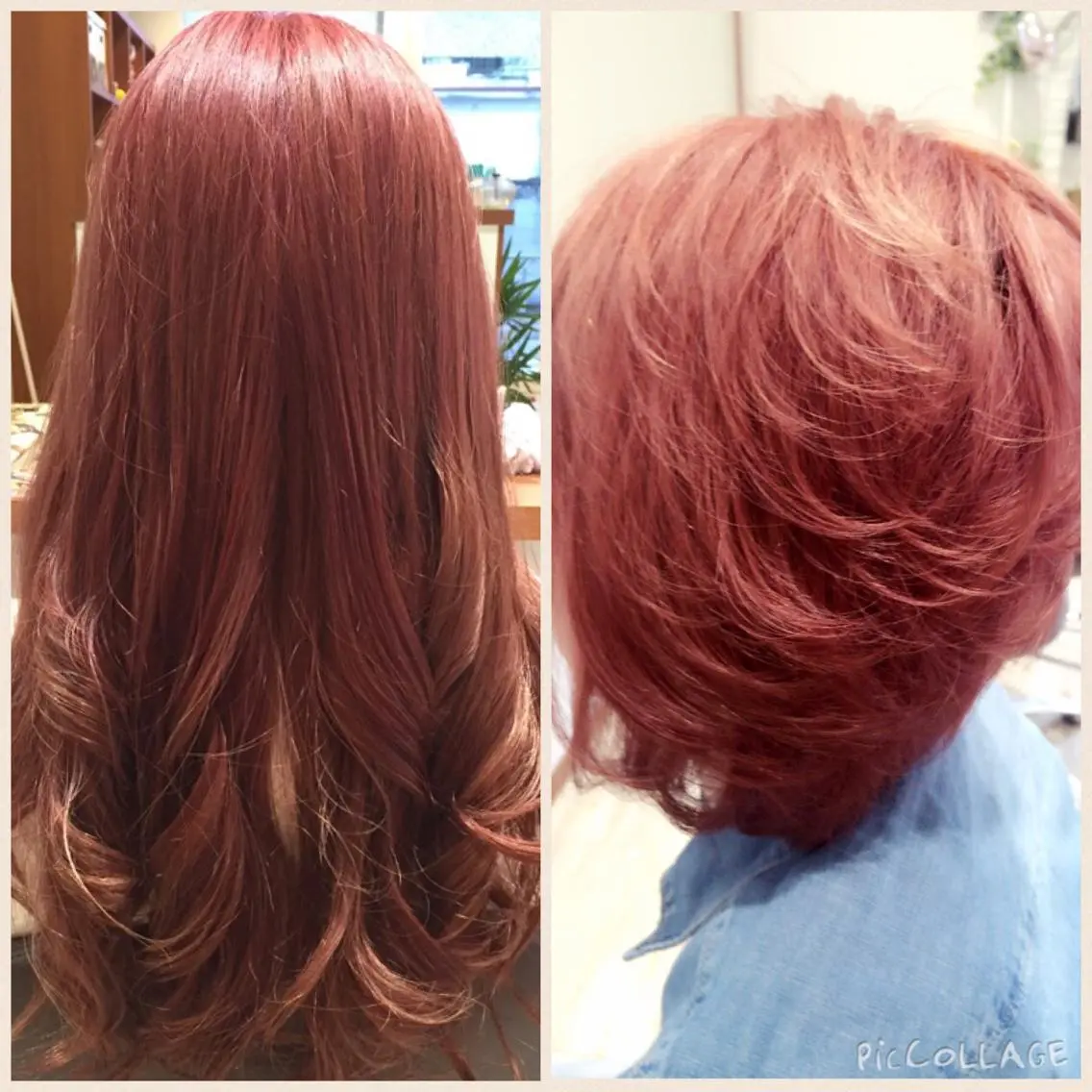 ショート カラー Licola リコラのヘアスタイル