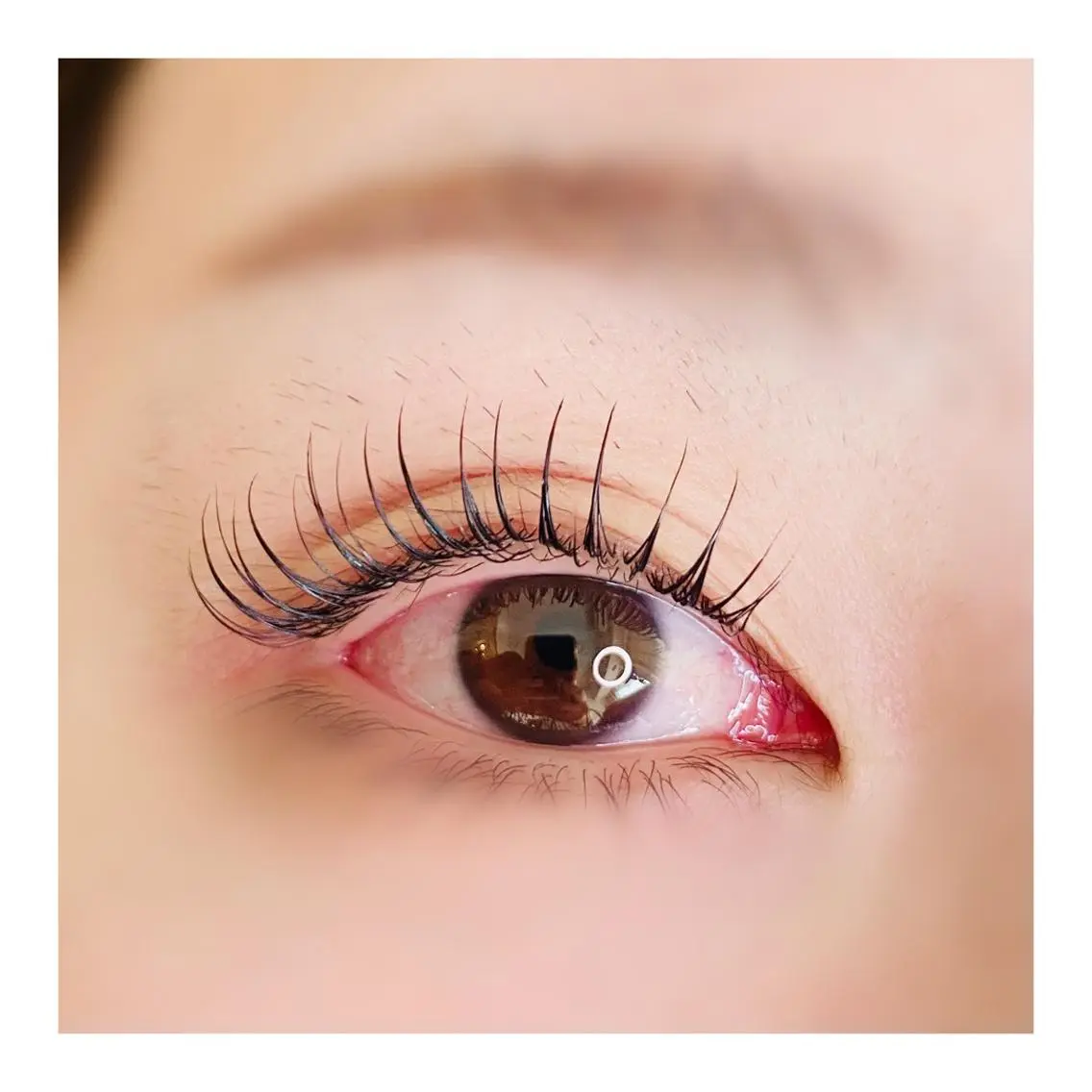 マツエク・マツパ マツパ eyelash MEGOCOROのマツエク・マツパデザイン