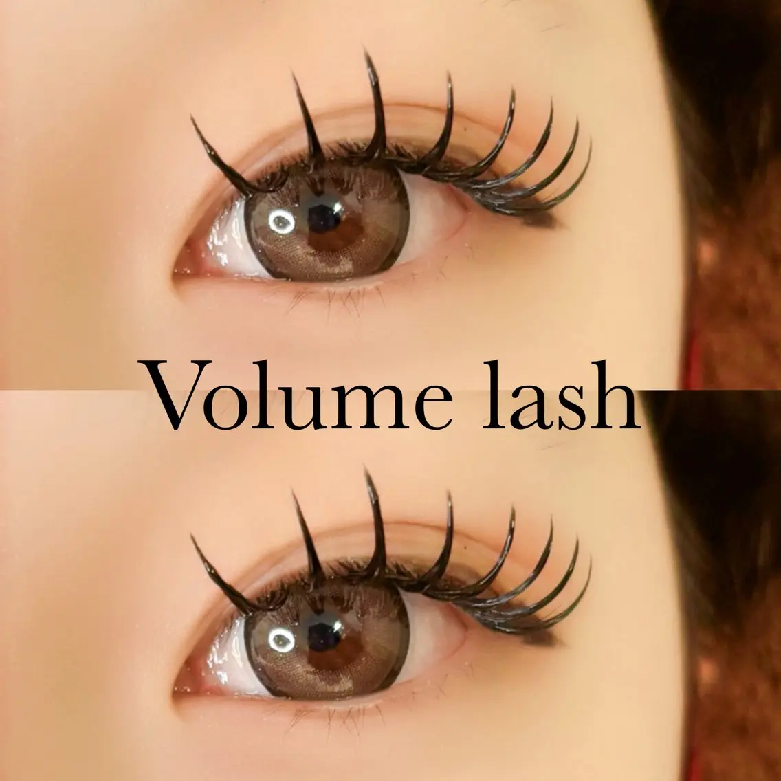 【Volume lash♥️】ボリュームラッシュ80束の写真