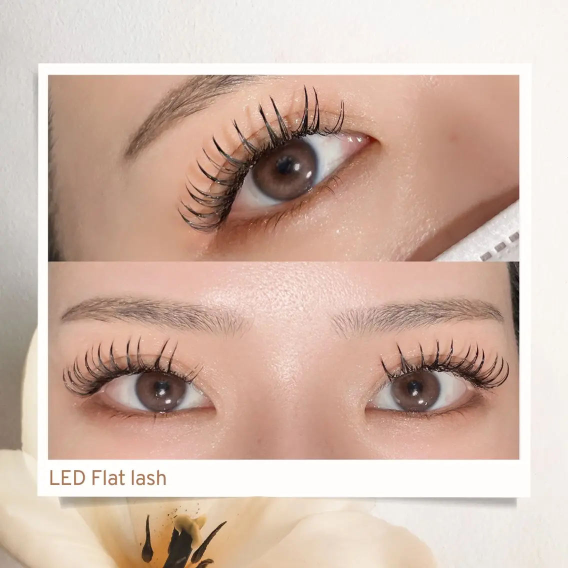マツエク・マツパ eclipse eyelashのマツエク・マツパデザイン