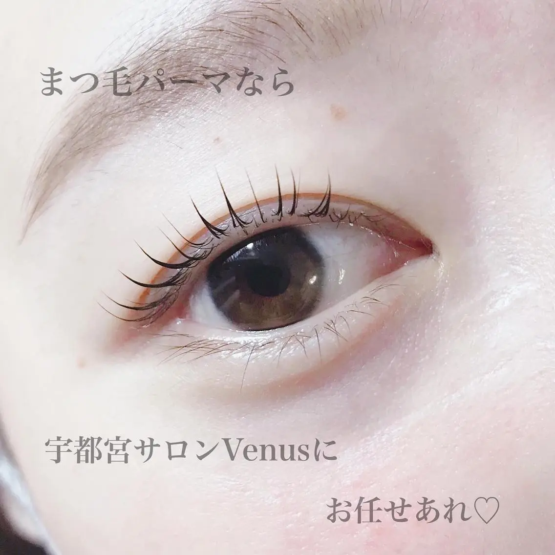 マツエク・マツパ eyelash catwinkのマツエク・マツパデザイン