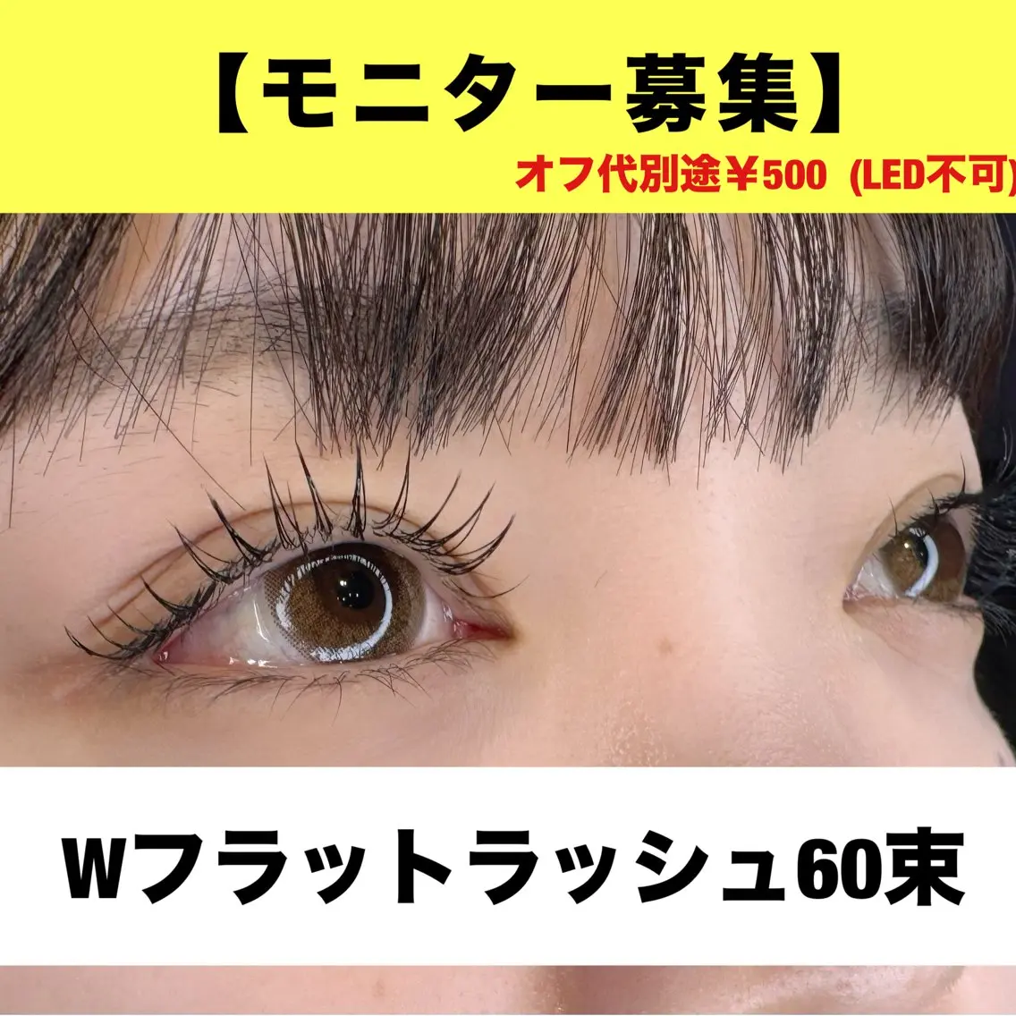【モニター募集】Wフラットラッシュ60束 ¥4000の写真