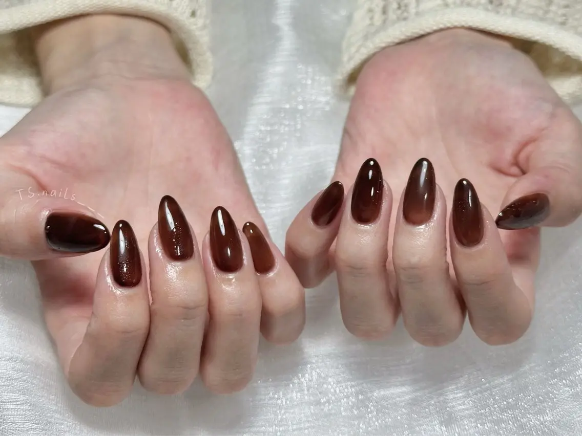 ネイル キラキラネイル マグネットネイル 持ち込み シンプルネイル ハンドネイル ハンドケア TS. nails___のネイルデザイン