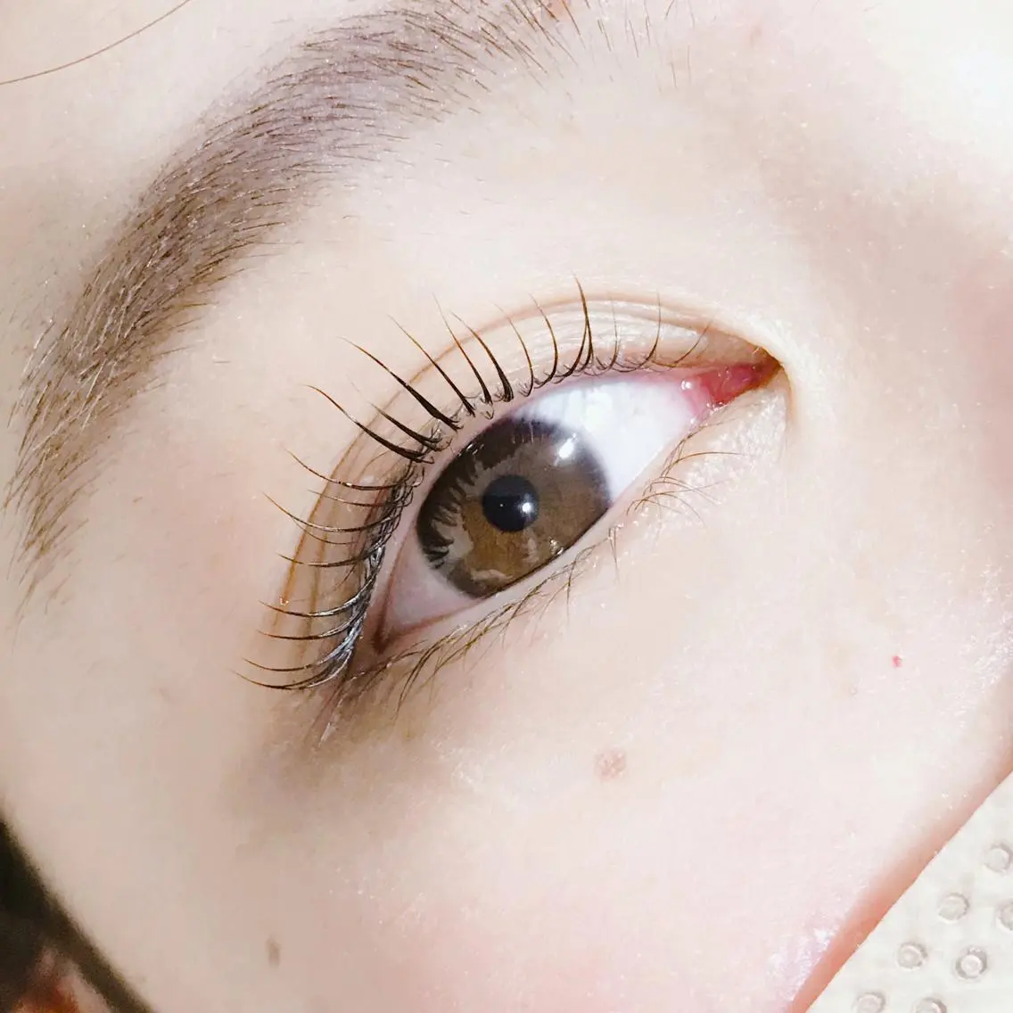 マツエク・マツパ eyelash catwinkのマツエク・マツパデザイン