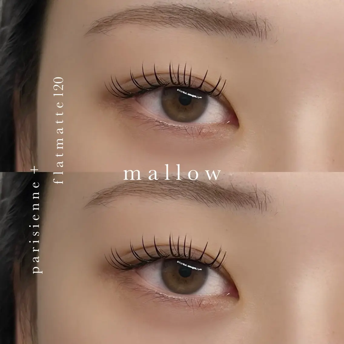 マツエク・マツパ マツエク eyelash mallowのマツエク・マツパデザイン