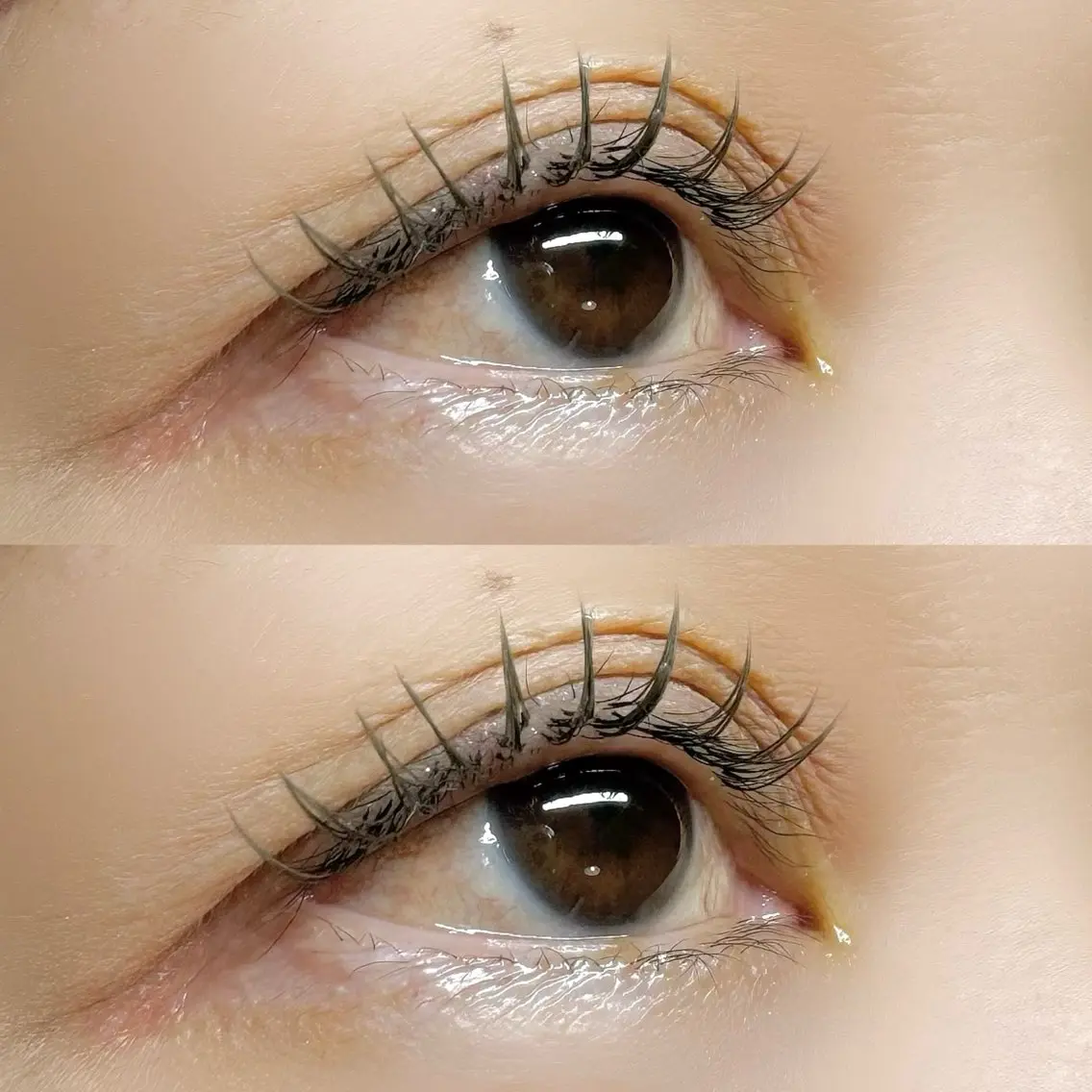 マツエク・マツパ マツエク Moyu eyelashのマツエク・マツパデザイン