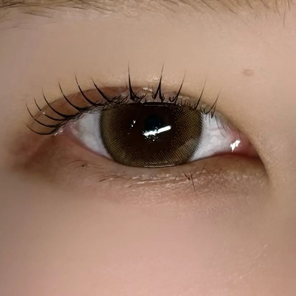 マツエク・マツパ 垢抜け眉WAX専門 ちゅるんまつげ|鎌倉の眉毛・アイブロウイメージ