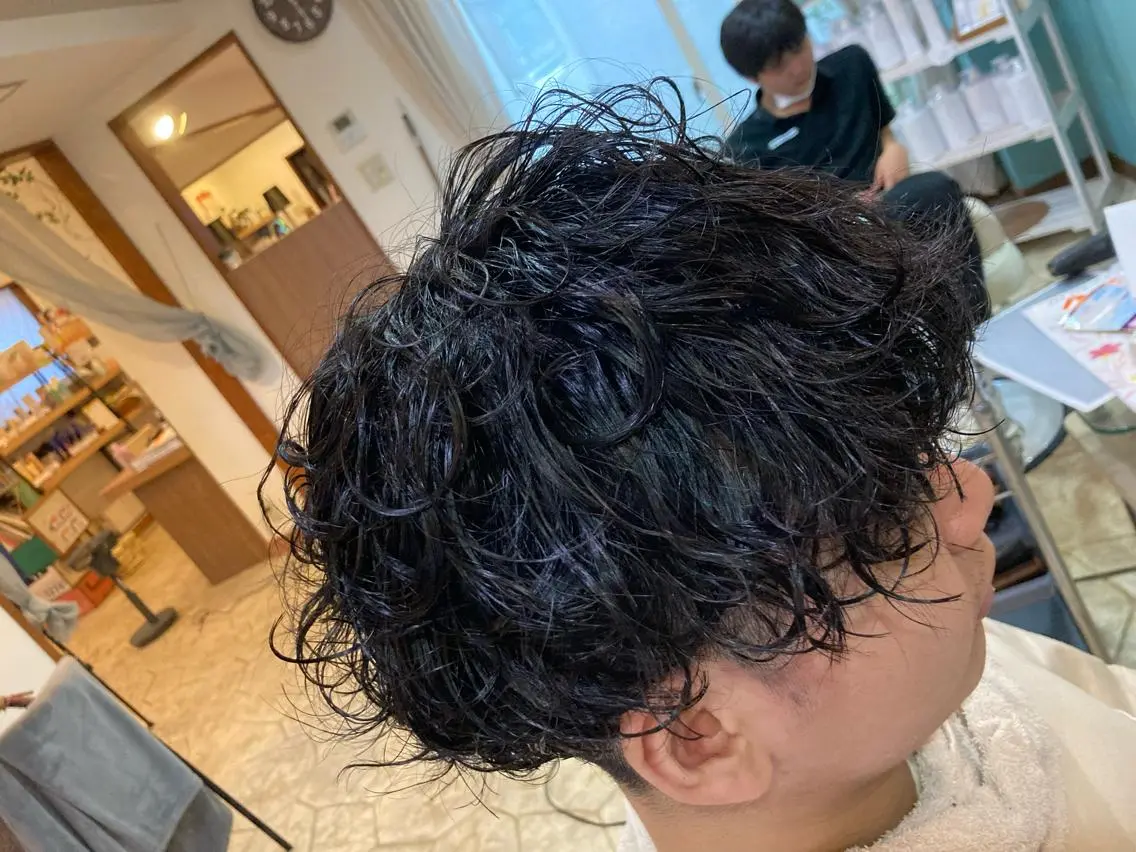 ショート パーマ メンズ メンズパーマ 谷川 穂のヘアスタイル