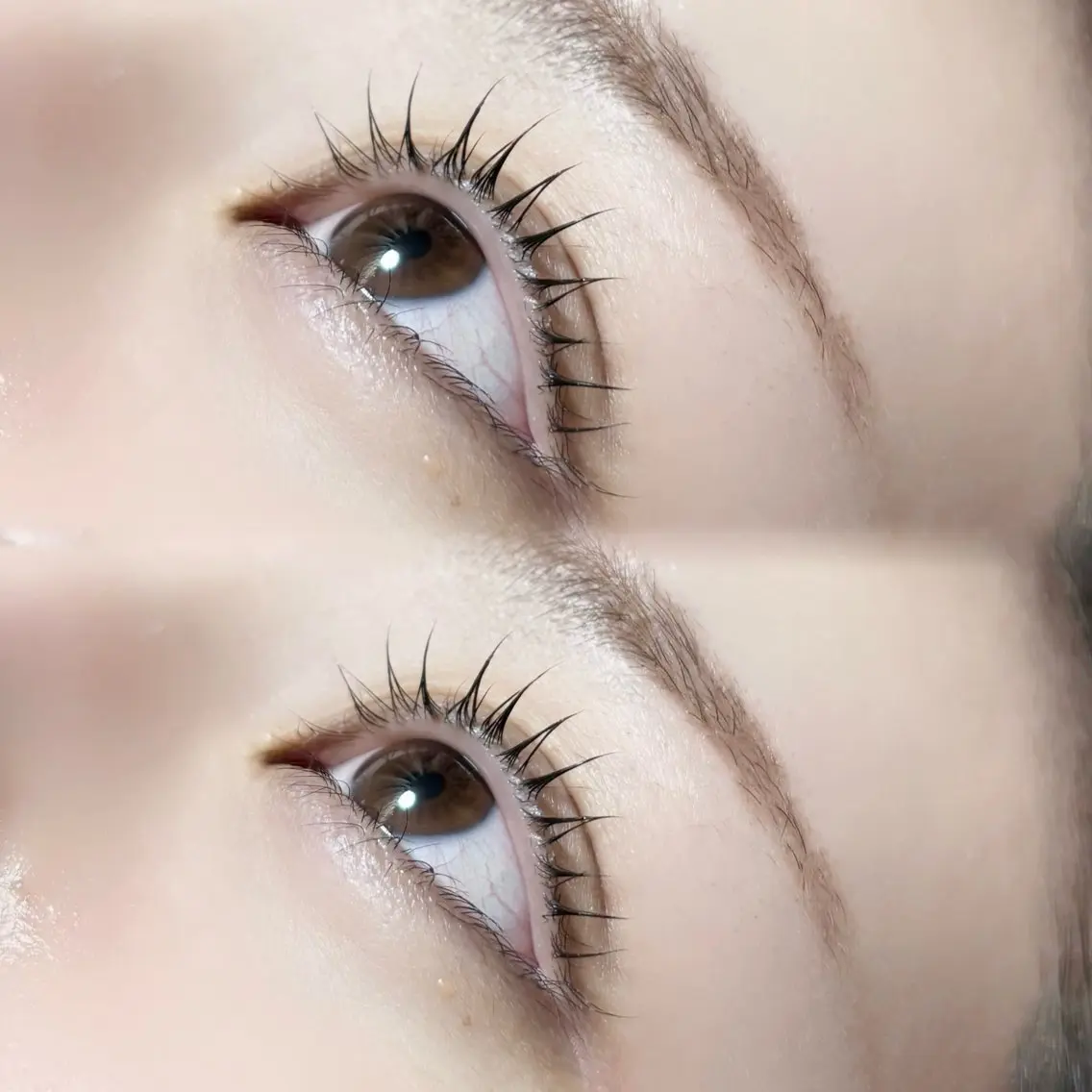 マツエク・マツパ 似合わせマツエク まつパ🤎ほのりのマツエク・マツパデザイン