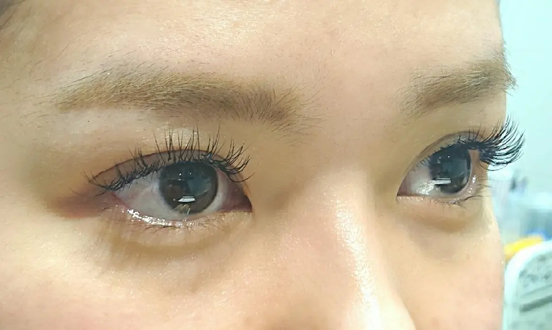 パリエク🌺🌈60~100本まで🌺🌈✨の写真