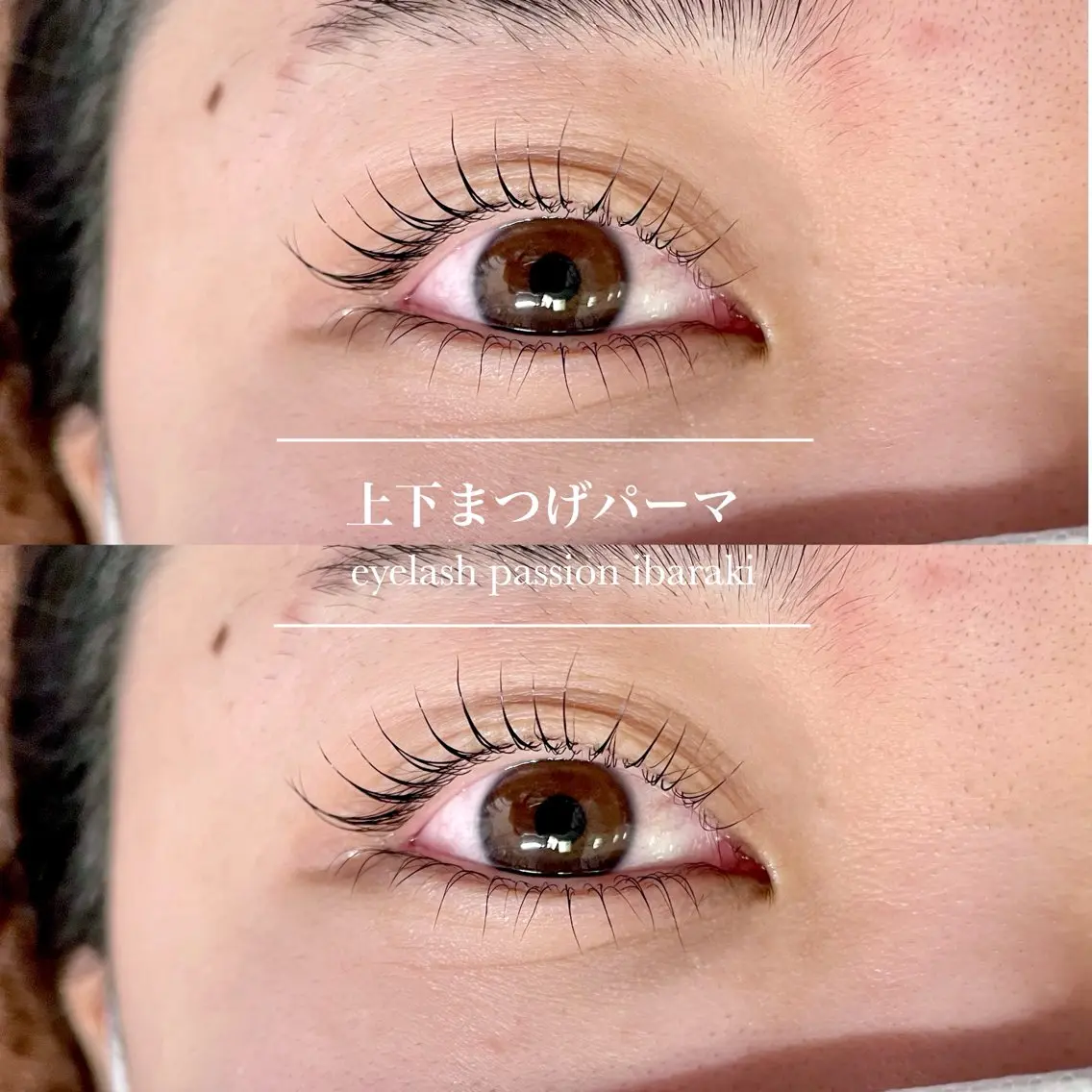 マツエク・マツパ まつげパーマ 下まつげエクステ マツパ eyelist🌼 asukaのマツエク・マツパデザイン