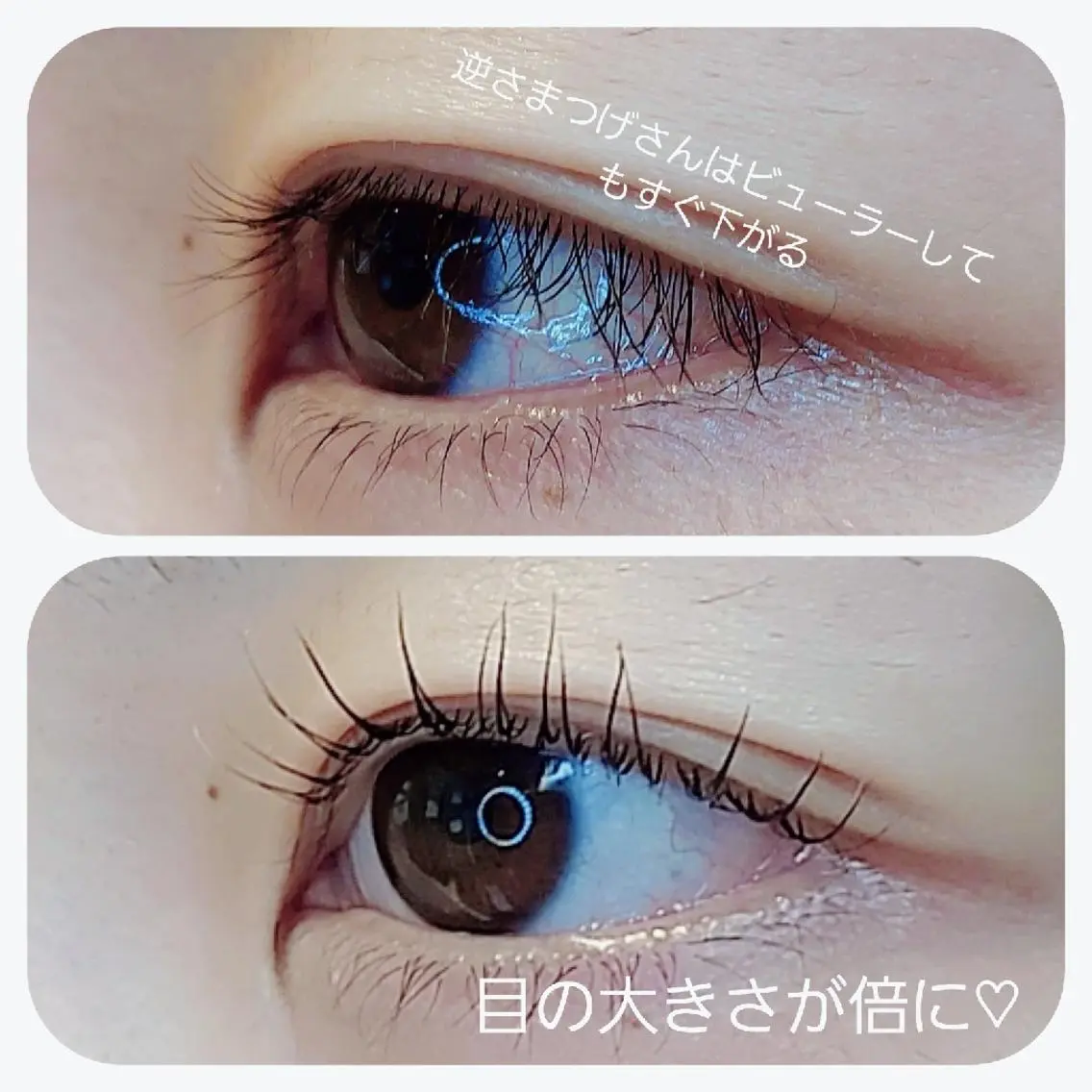マツエク・マツパ eyelash  Recona のマツエク・マツパデザイン