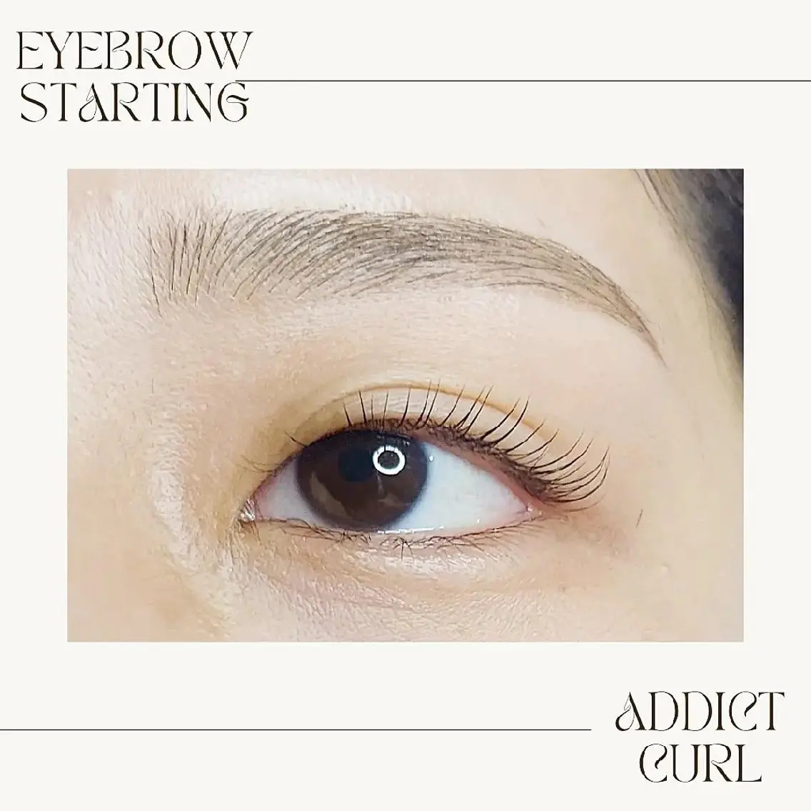 アイブロウ マツエク・マツパ マツパ U_la [ウーラ] 片岡の眉毛・アイブロウイメージ