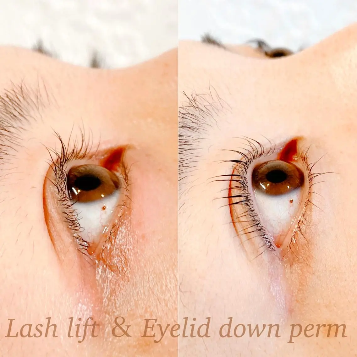 マツエク・マツパ Lash Re:のマツエク・マツパデザイン