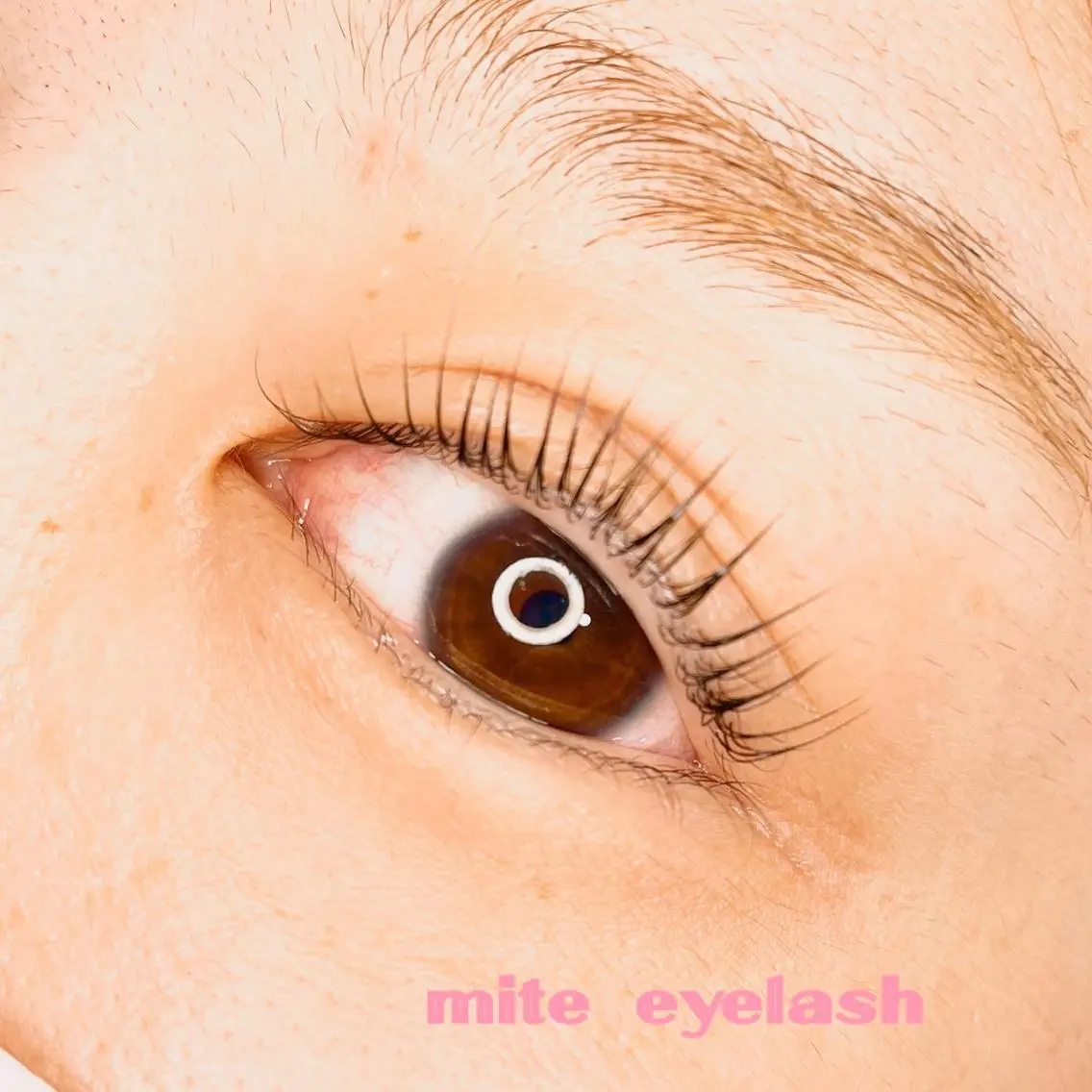 マツエク・マツパ mite eyelashのマツエク・マツパデザイン
