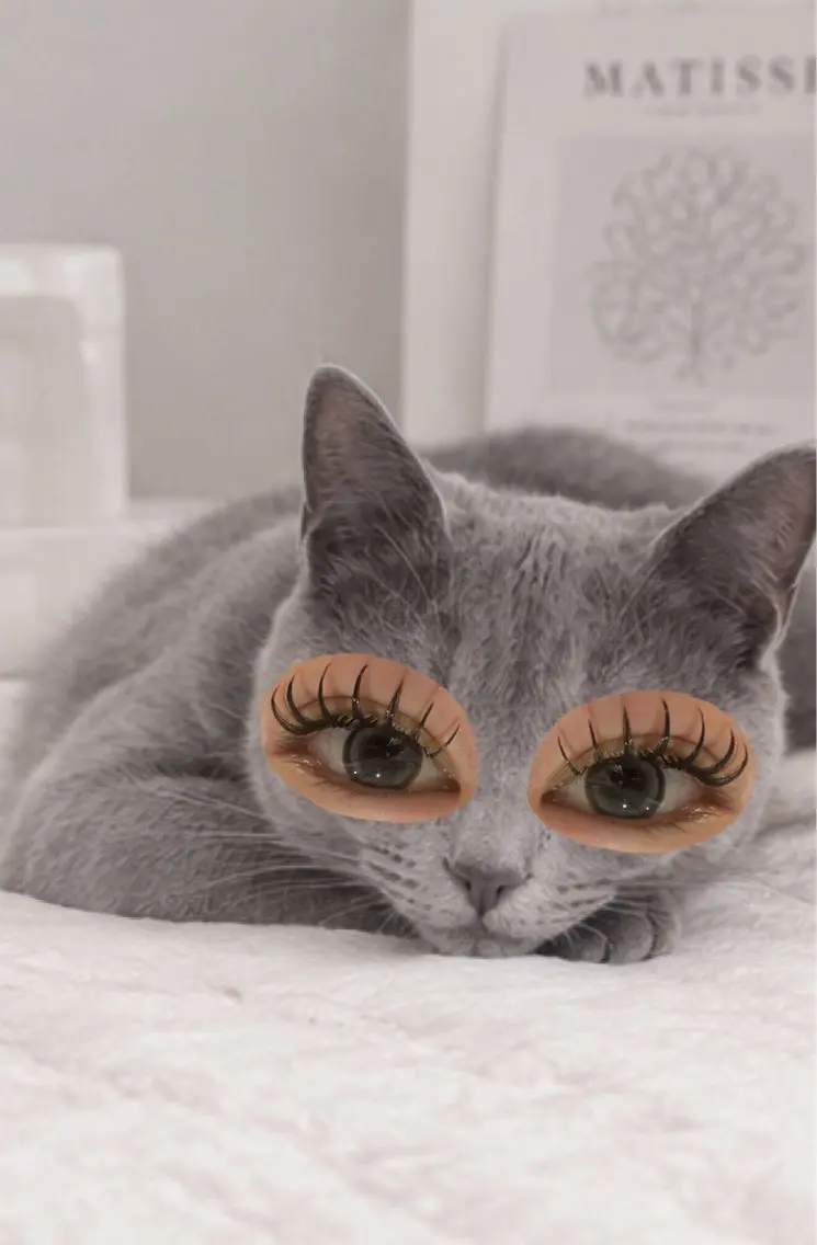 マツエク・マツパ Dカール Re:eyes Makiのマツエク・マツパデザイン