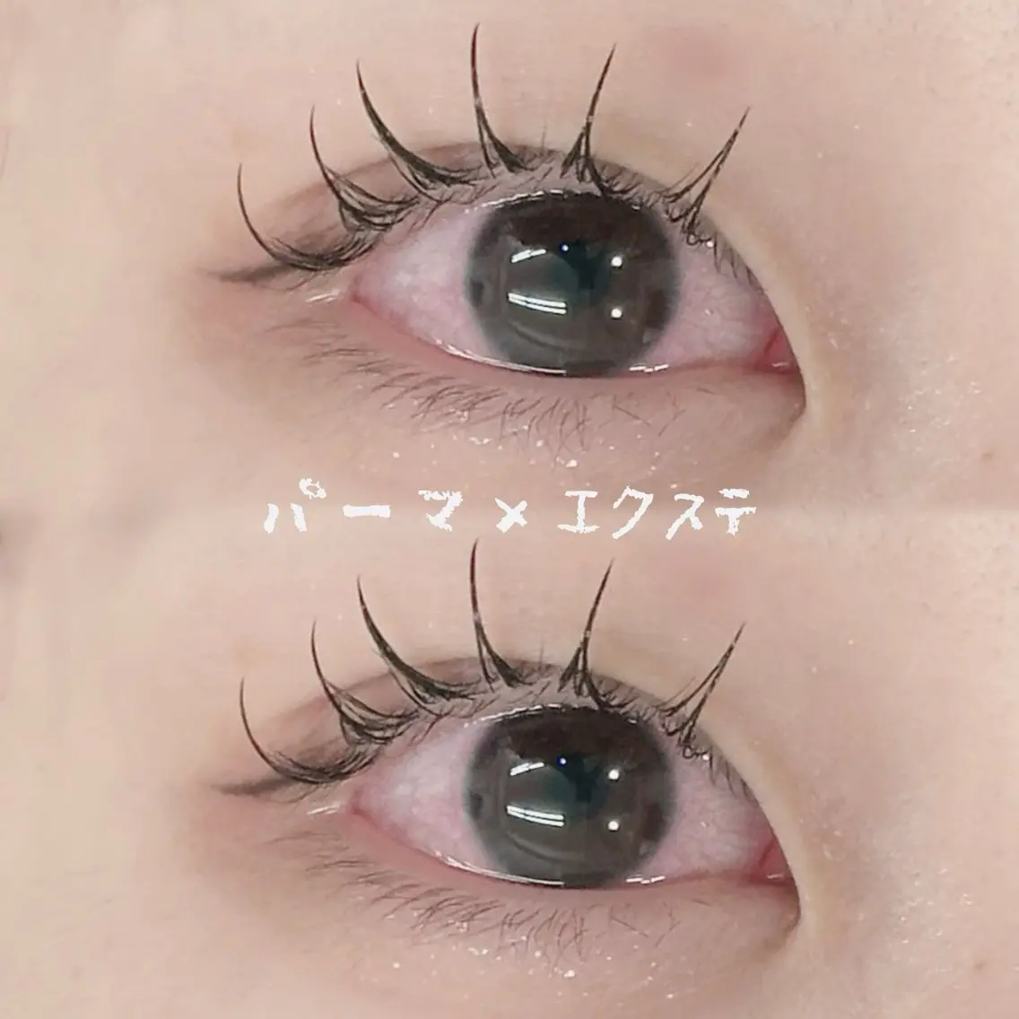 パリエク🩵バインドロック60束(シングル120本相当)の写真