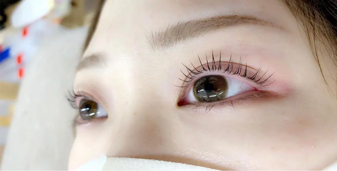 マツエク・マツパ パリジェンヌラッシュリフト khaki eyelashの眉毛・アイブロウイメージ