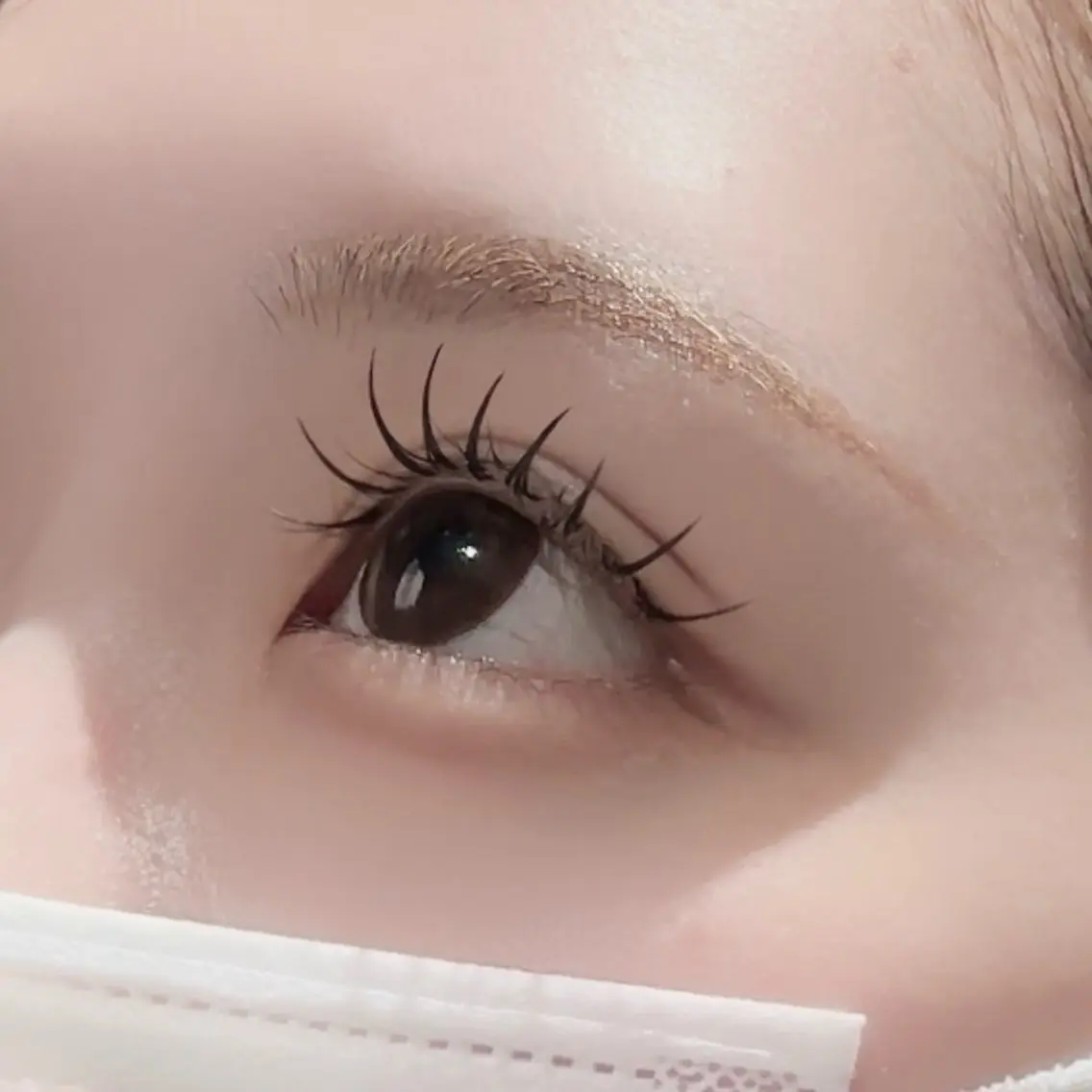 ダブルフラットラッシュ60束の写真