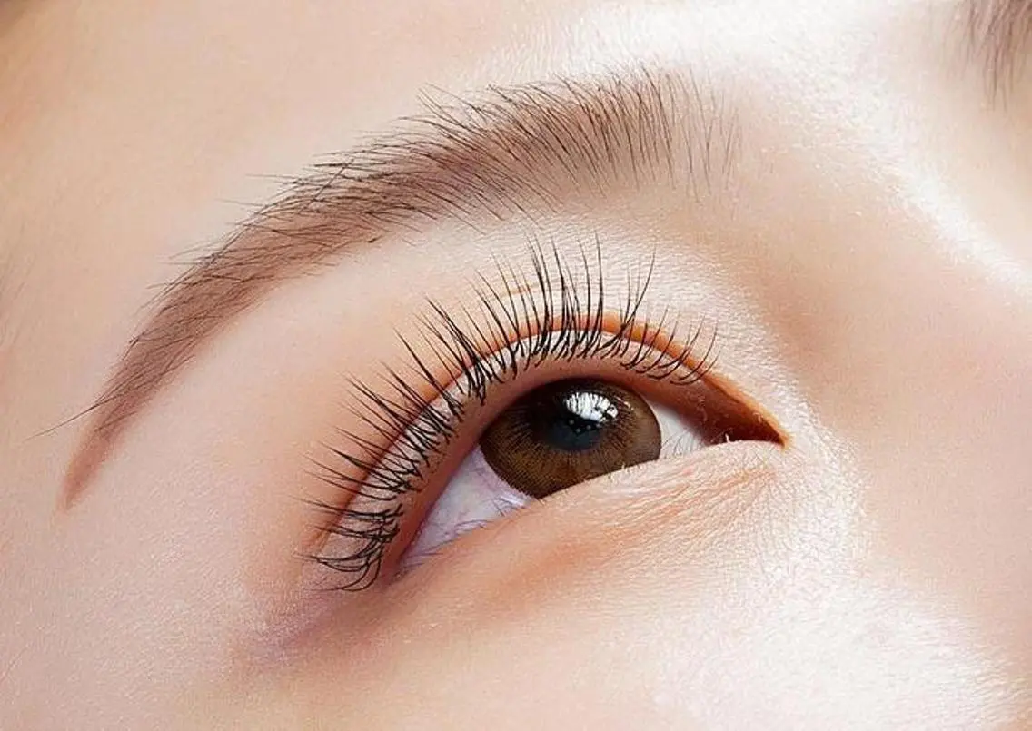フラットラッシュ100本の写真