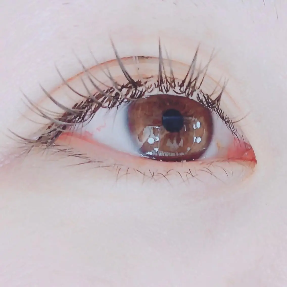 ミニモ限定!!フラットマットラッシュ120本オフあり6500円の写真