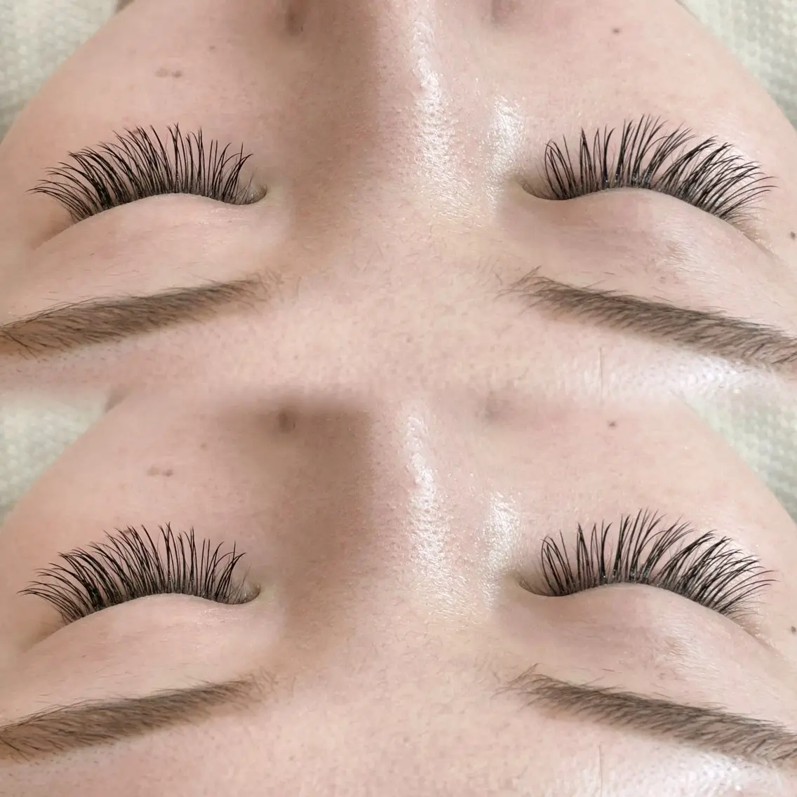 Wフラットラッシュ100束(200本)🎀の写真