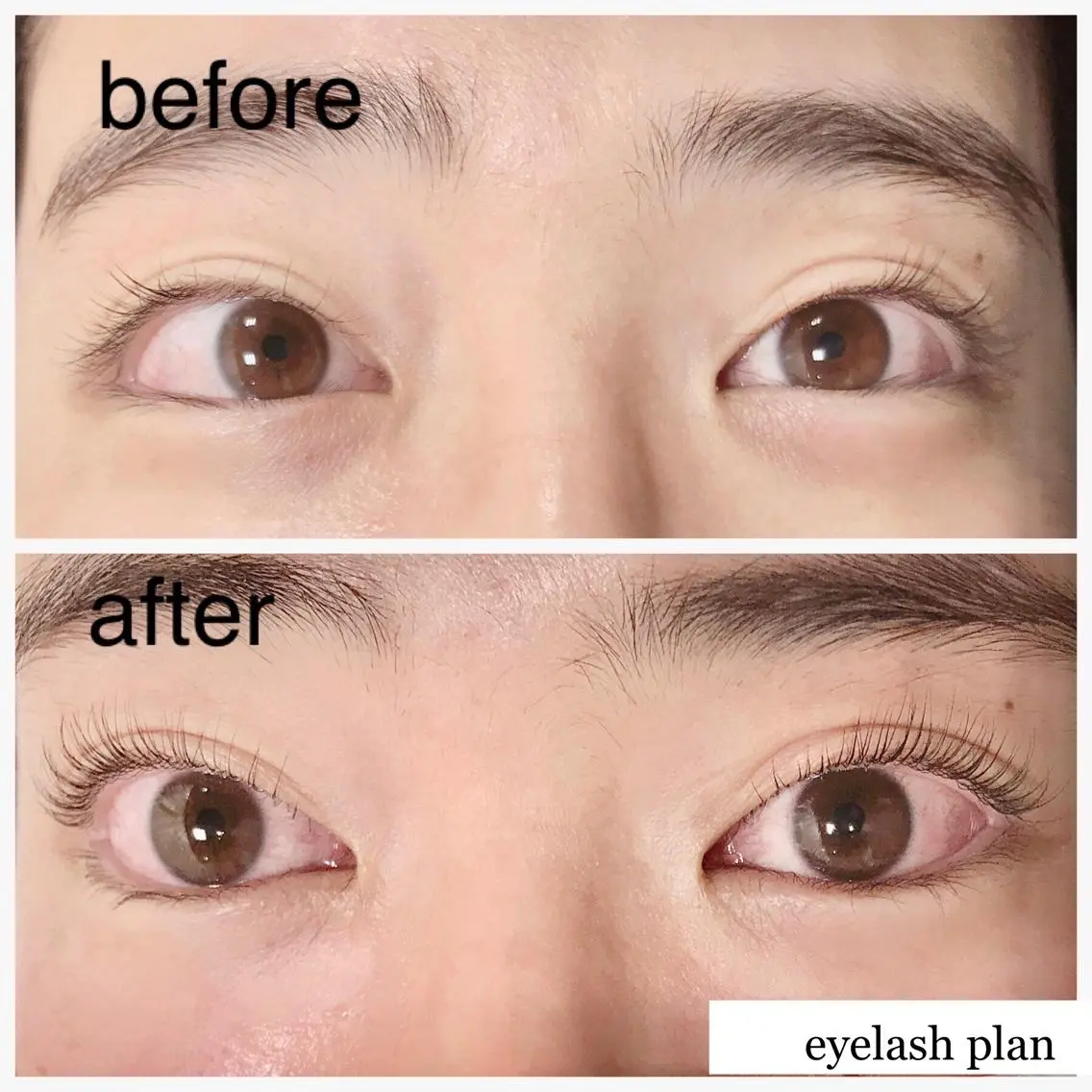 マツエク・マツパ 《eyelash ｉｉｔｅ》森のマツエク・マツパデザイン