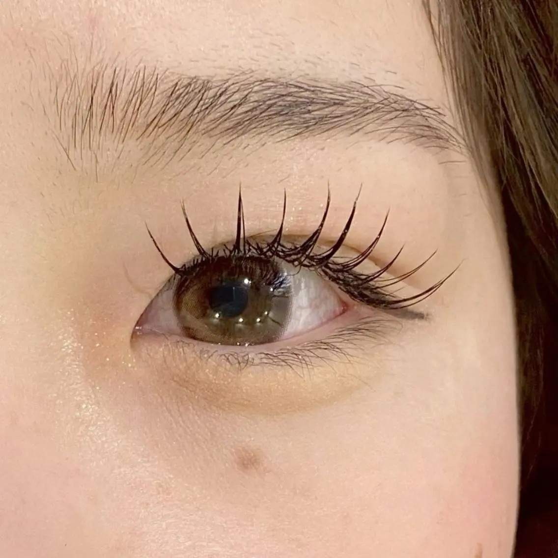 【モデル募集】フラットラッシュ120本(オフ無し)⚠補足説明をご覧くださいの写真
