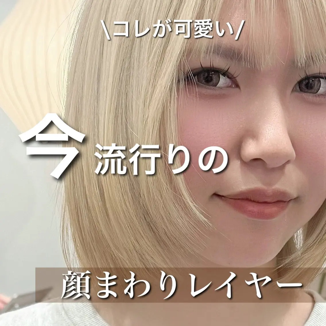 ショート ボブレイヤー ボブ レイヤーカット カット トリートメント レイヤーカット/ボブ /春日井🍏鵜飼元喜のヘアスタイル