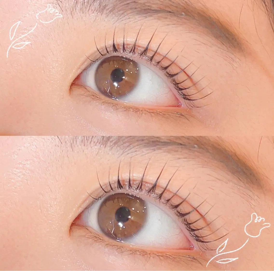 マツエク・マツパ パリジェンヌラッシュリフト 🕊MaazLash 4🕊️のマツエク・マツパデザイン