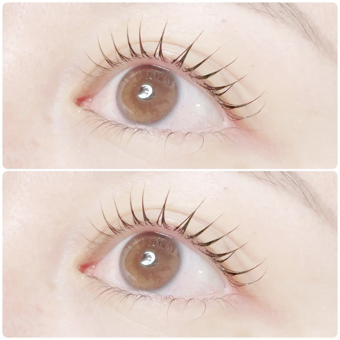 マツエク・マツパ plume eyelashのマツエク・マツパデザイン