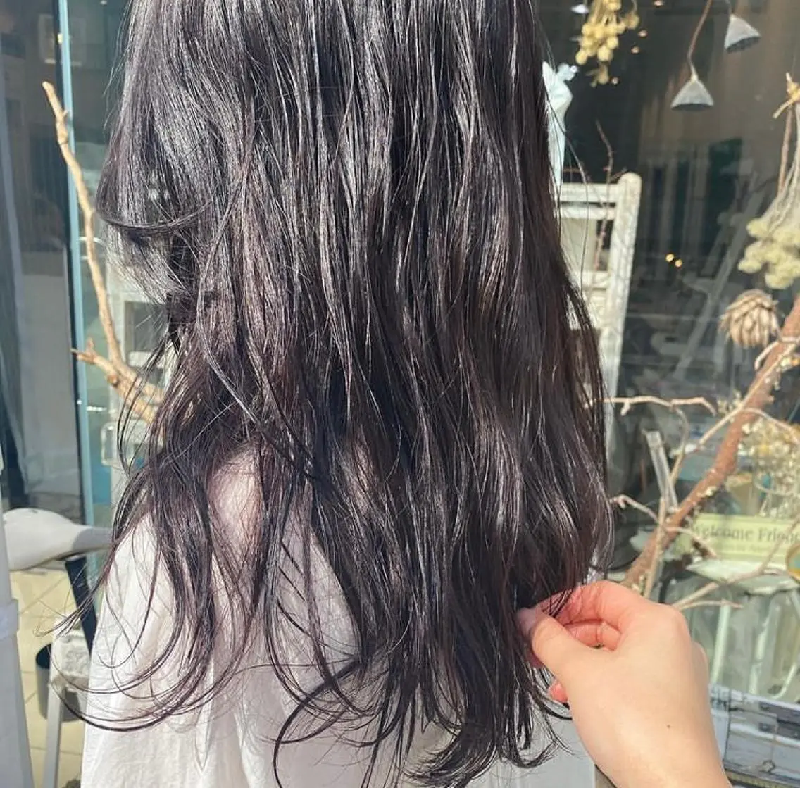 カラー☀️の写真