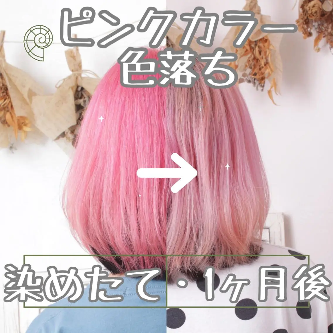 ショート カラー パーマ ヘアアレンジ ヘアカラー トリートメント 推し活専用 【派手髪】飯野ゆかりのヘアスタイル
