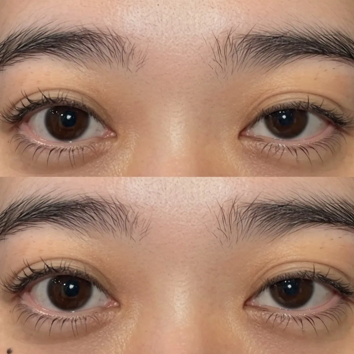 👀下まつ毛パーマ👀の写真