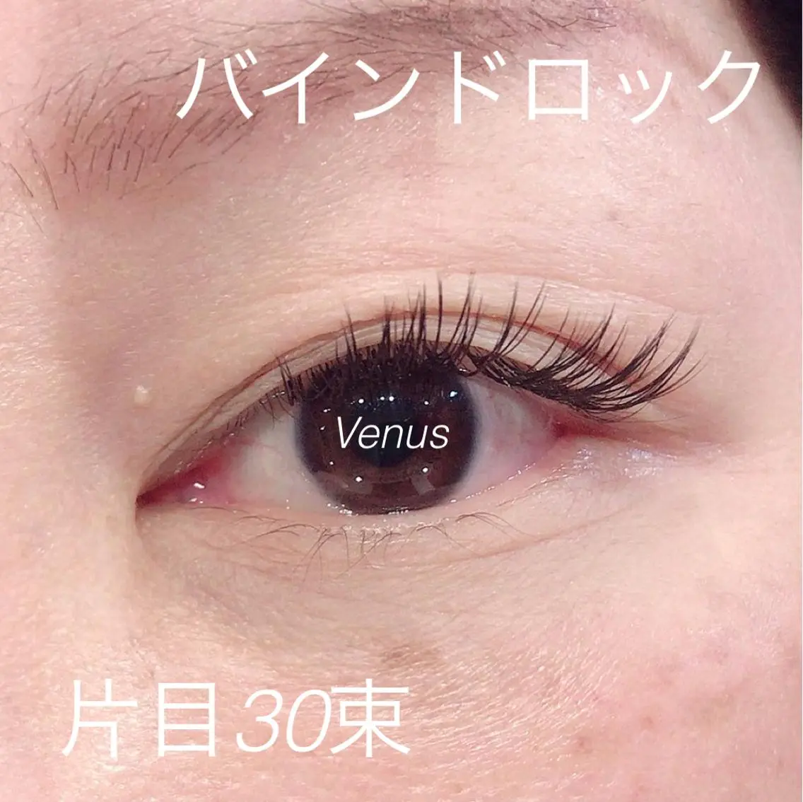 マツエク・マツパ eyelash catwinkのマツエク・マツパデザイン